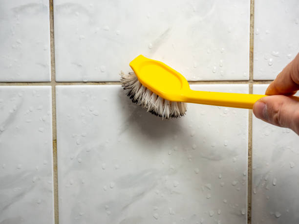 Best Mold Cleaning Services  in Spackenkill, NY